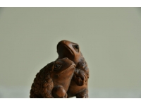 【古美術】蛙 カエル 2匹 根付 Netsuke 精密 彫刻 超絶技巧 古玩 商品 骨董 かえる