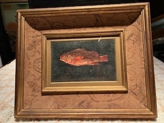 清水良雄 【 魚 】 油絵肉筆画F1号 |サムライオークション