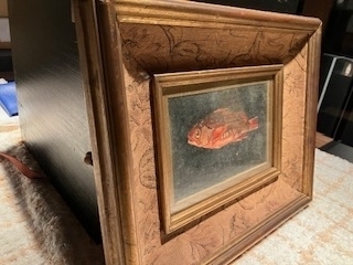 清水良雄 【 魚 】 油絵肉筆画F1号 |サムライオークション