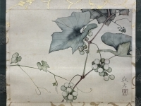 安田 靫彦【葡萄】画　絹本　掛軸　共箱　2重箱
