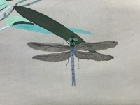 鈴木三朝【蜻蛉/とんぼ】絹本 掛軸(師/荒井寛方・安田靫彦)Suzuki Sancho Dragonfly